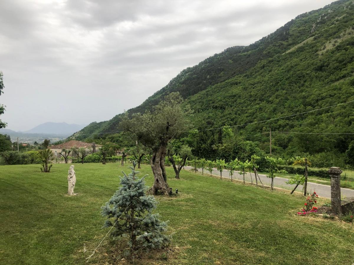 Villa Iannetta Di Monte Cassino Belmonte Castello Eksteriør billede